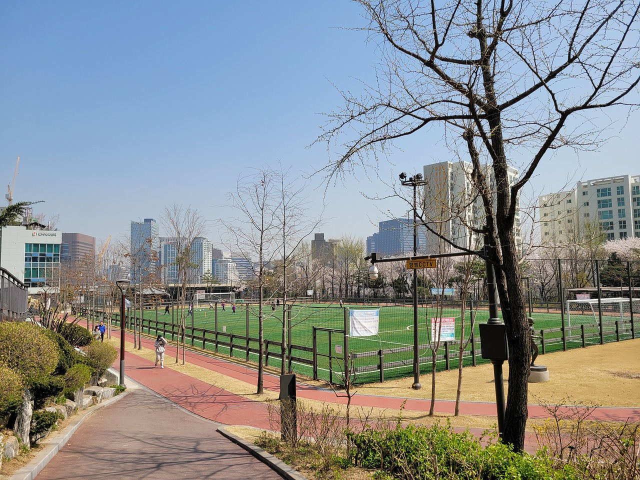 赛季的裁判 赛季的裁判