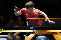 正是这种无 正是这种无